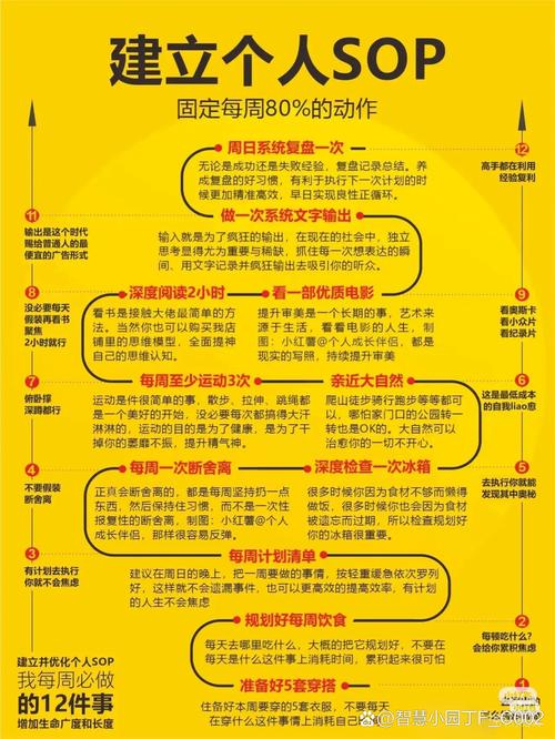 打造魅力TPTP游戏个人档案的关键要素及细节要点